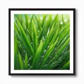 Green Grass With Water Droplets Art Print