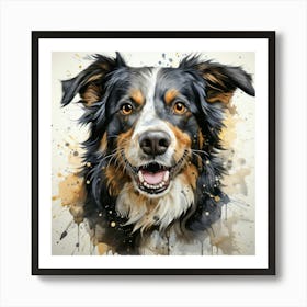 Australian Shepherd 11 Póster