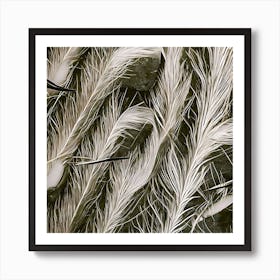 The Feathers Art Print