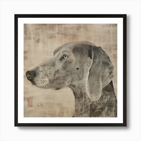 Weimaraner Art Print