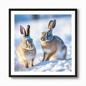 Two Hares In The Snow Art Print