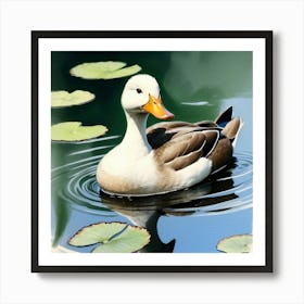 Duck In Water 4 Art Print