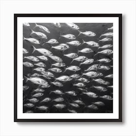 School Of Fish 1 Art Print