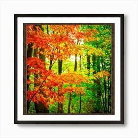 Autumn Frame Embracing Bright Foliage Maple Leaves Transitioning From Green To Vivid Shades Of Oran (2) Art Print