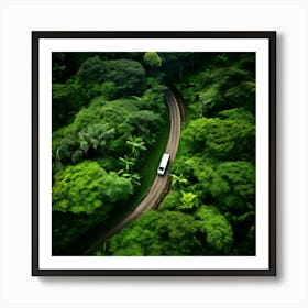 Aerial View Of A Road In The Rainforest Art Print