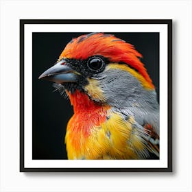 Red-Winged Blackbird Art Print