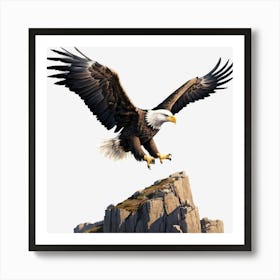 Bald Eagle 12 Art Print