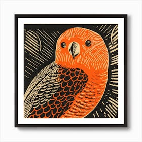 Retro Bird Lithograph Budgerigar 3 Art Print