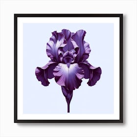 Purple Iris This botanical illustration is a celebration of nature’s perfection, offering a visual feast for the eyes and a soul-soothing presence in any space it adorns. Its vibrant blue hues and intricate details are a testament to the timeless allure of floral subjects in art, making it an ideal gift for plant lovers or a stunning addition to gallery walls seeking a touch of natural drama. The 'Blue Hyacinth Harmony' is not just a piece of art; it's a statement of nature's intricate beauty captured in a moment of full bloom, a masterpiece that will keep the essence of spring alive all year round. Add this captivating piece to your collection and let the elegance of hyacinth flowers transform your space into a sanctuary of peace and beauty. Art Print