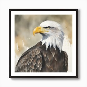 Watercolour Bald Eagle 3 Art Print