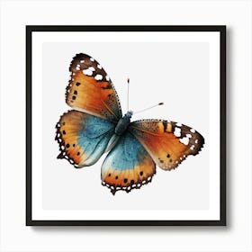 Butterfly On Black Background 1 Art Print