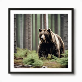 Brown Bear In The Forest 5 Art Print