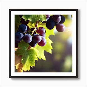 Grapes On The Vine 16 Art Print