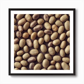 Close Up Of Soybeans Art Print