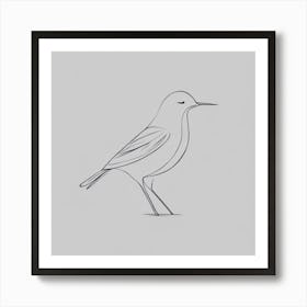 Bird Drawing Art Print