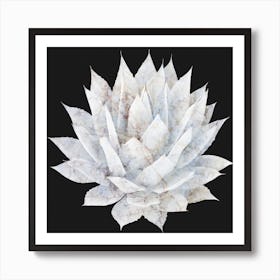 Agave White Marble Art Print