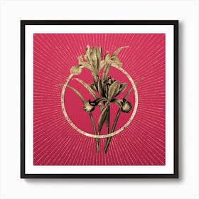 Gold Spanish Iris Glitter Ring Botanical Art on Viva Magenta Art Print