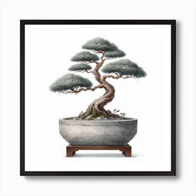 Bonsai 3 Art Print