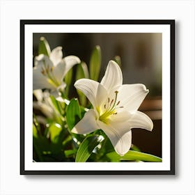 White Lily Art Print