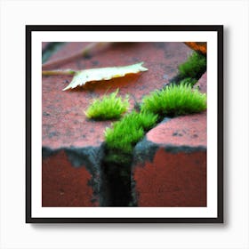 Growing Grass Art Print