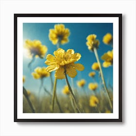 Yellow Flowers In The Field 1 Art Print