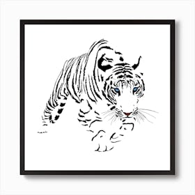 White Bengal Tiger White Series Square Art Print
