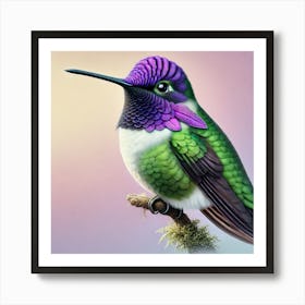 Hummingbird 17 Art Print