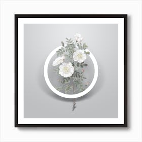 Vintage White Burnet Roses Minimalist Botanical Geometric Circle on Soft Gray n.0327 Art Print