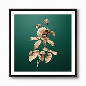 Gold Botanical Agatha Rose in Bloom on Dark Spring Green n.1066 Art Print