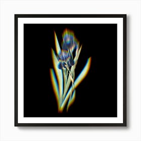 Prism Shift German Iris Botanical Illustration on Black n.0059 Art Print