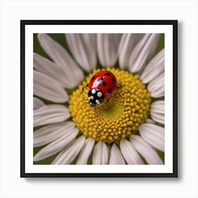 Ladybug On A Daisy 1 Art Print