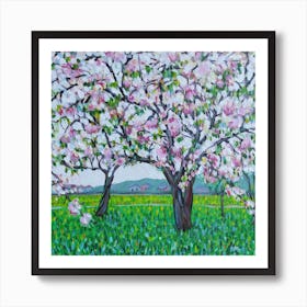 Blossoming Cherry Trees Art Print