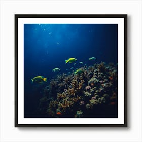 Coral Reef 13 Art Print