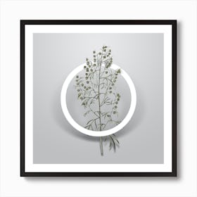 Vintage Madeira Wormwood Minimalist Flower Geometric Circle on Soft Gray Art Print