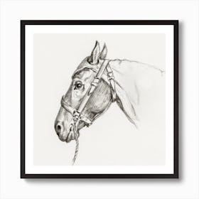 Head Of A Horse 2, Jean Bernard Art Print