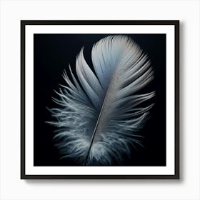 Feather On A Black Background Art Print