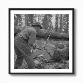 Grant County, Oregon, Malheur National Forest,Lumberjack Putting Hook Into Log Which Will Be Loaded Onto Flatcar By Art Print