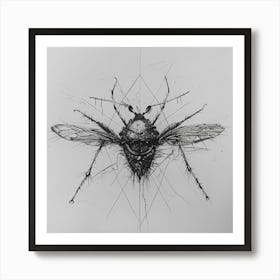 'Fly' Art Print