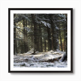 Snowy Forest Art Print