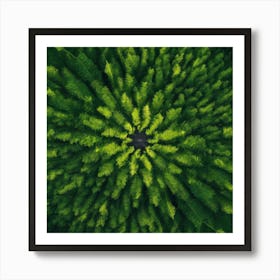 Aerial View Of A Forest Art Print