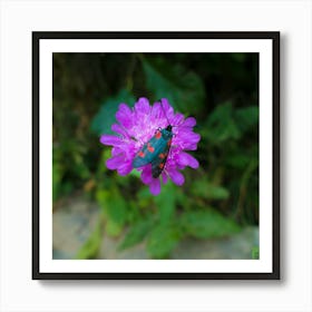 Moth On Purple Flower 20210824 84ppub Art Print