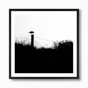 Bird On A Fence Post Silhouette Art Print