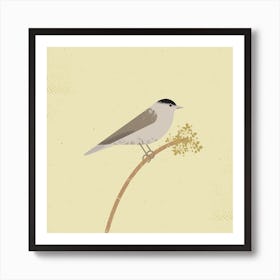 Blackcap Art Print