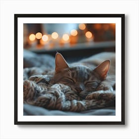 Cat Sleeping On A Blanket Art Print