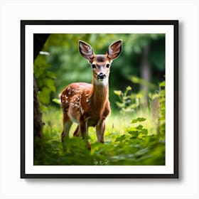 Fawn photo 1 Art Print