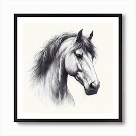 Horse Head Drawing 1 Art Print