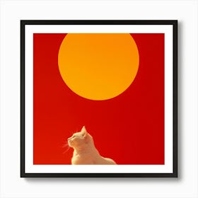 Cat In Front Of The Sun Art Print