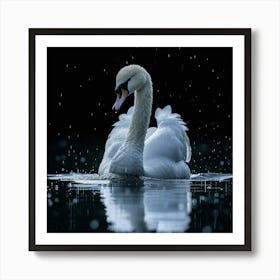 Swan In The Rain Art Print
