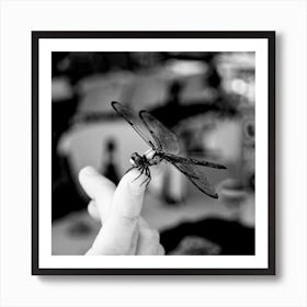 Black And White Dragonfly Art Print