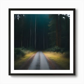 Road In The Woods 2 Art Print